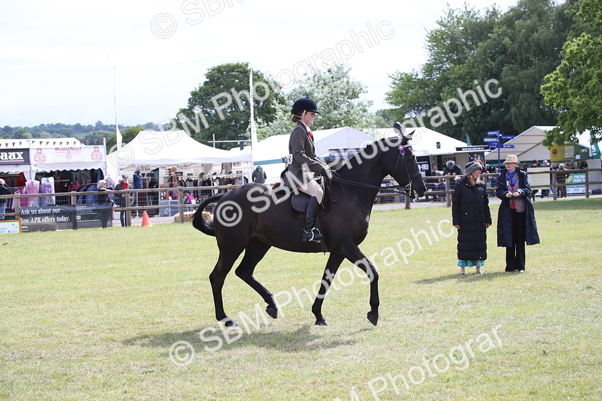 SBM_13223 - Class 95-96 - LIHS BSHA Rising Star Hack Riding Horse