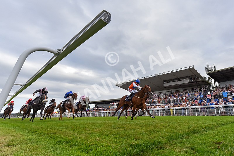 140824-Race 7-Willolarupi-3531 - Race 7