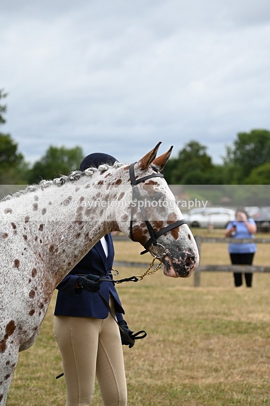 WJ6_4277 - Class 10 Coloured In-hand