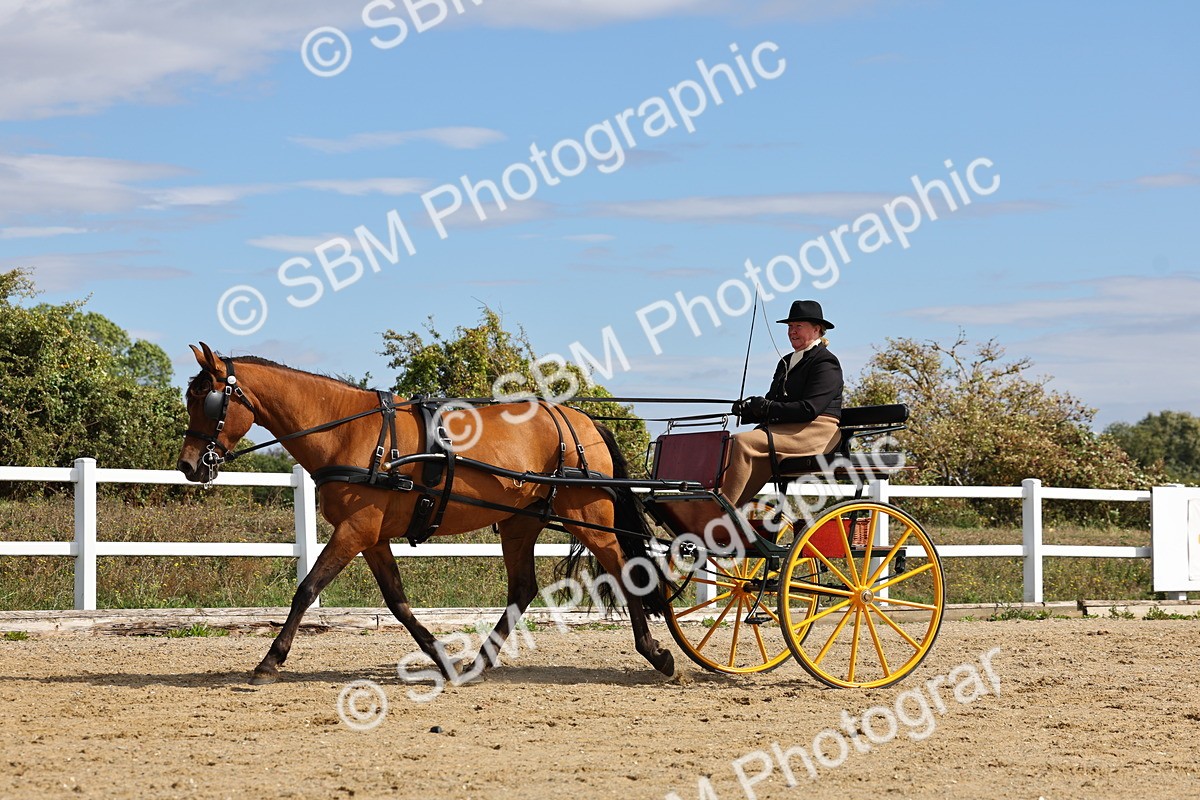SBM_000916 - Class 8 - Novice Horse or Pony to any vehicle