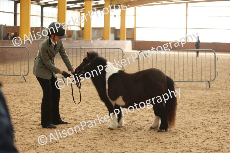 20251109-0399 - Class 15 - Coloureds