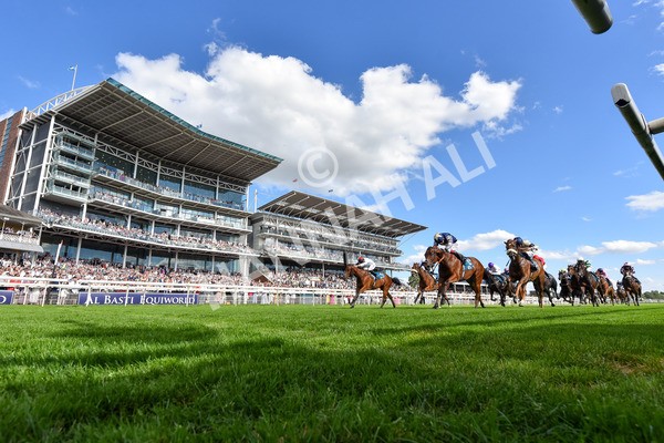 280625-Race 6-Dream Out Loud-5471 - Race 6 4.50pm Al Basti Equiworld Dubai Sprint Handicap