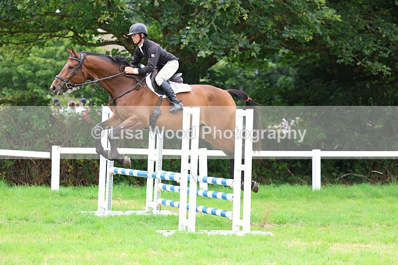 3E7A7190 - Class 5: Senior British Novice/90cm open