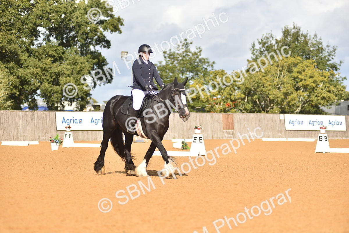 SBM_03008 - D4 - Small Tour Championship Intro 4