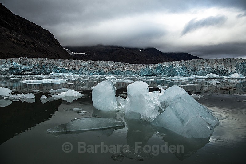 Sveabreen 7893 - Trip with MS Expedition August 2016