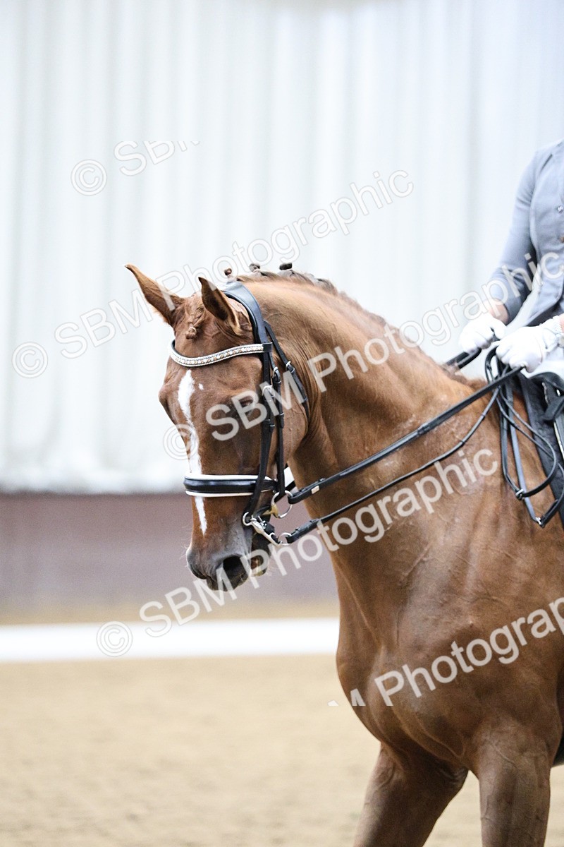 SBM_002330 - Classes 12, 15 - FSM