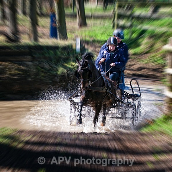 _DSC0075 - Ashfields Carriage & Polo Club