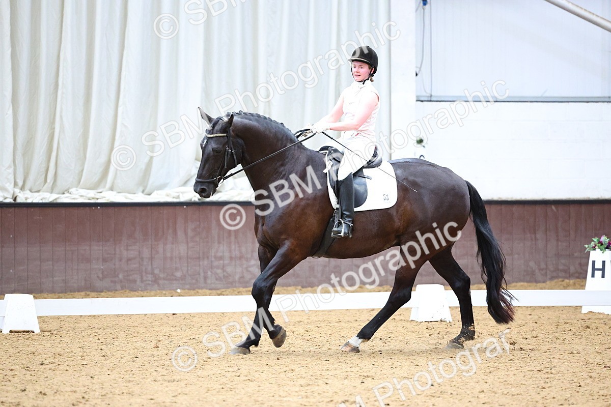 SBM_005548 - Elementary 2