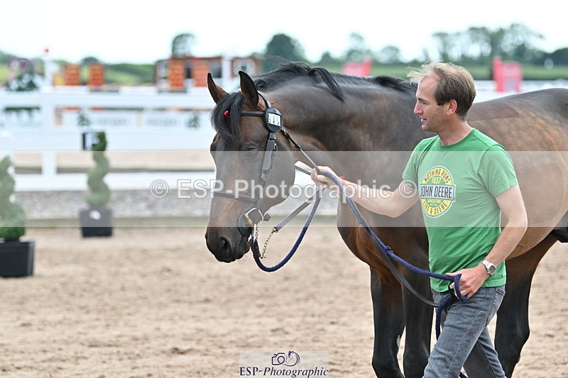 240717A-143131-02109 - Trot Up 2pm to 3pm - This folder is not in time order