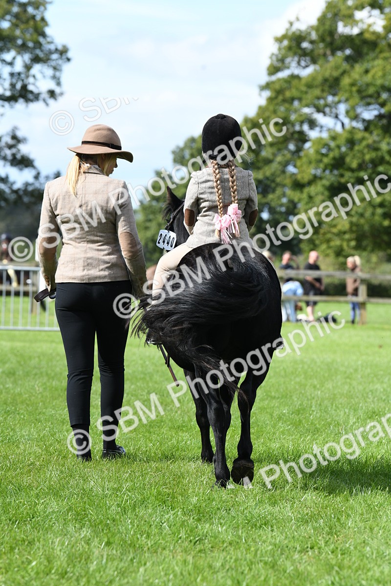 SBM_42595 - S20 - Lead Rein Mountain & Moorland Pony