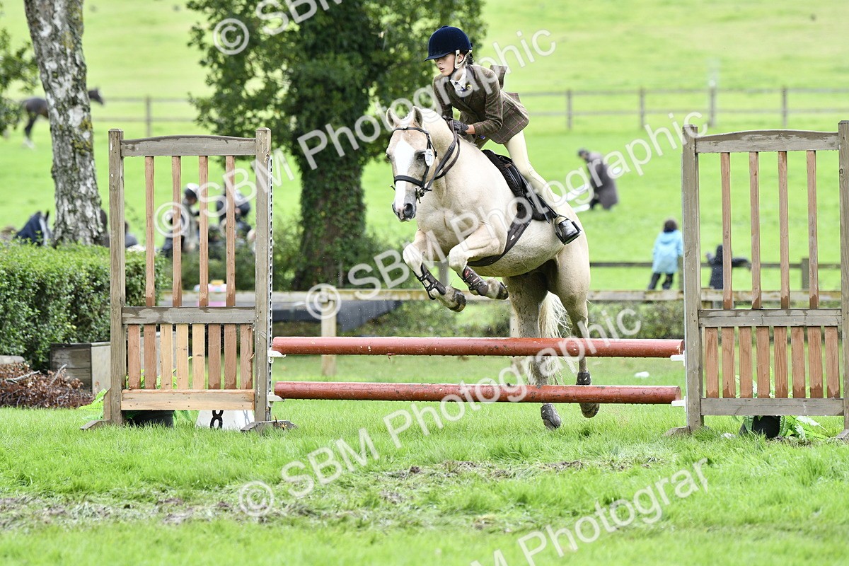 SBM_45598 - S33 - Working Hunter Pony