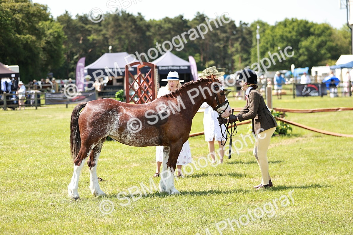 SBM_15555 - Class 108-109 - BSPS LIHS Open Gradle & Nursery Stakes