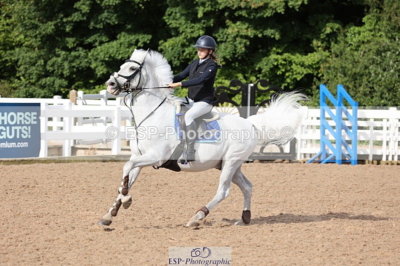 240629A-083914-02646 - Cls 16 British Novice and 80cm Open