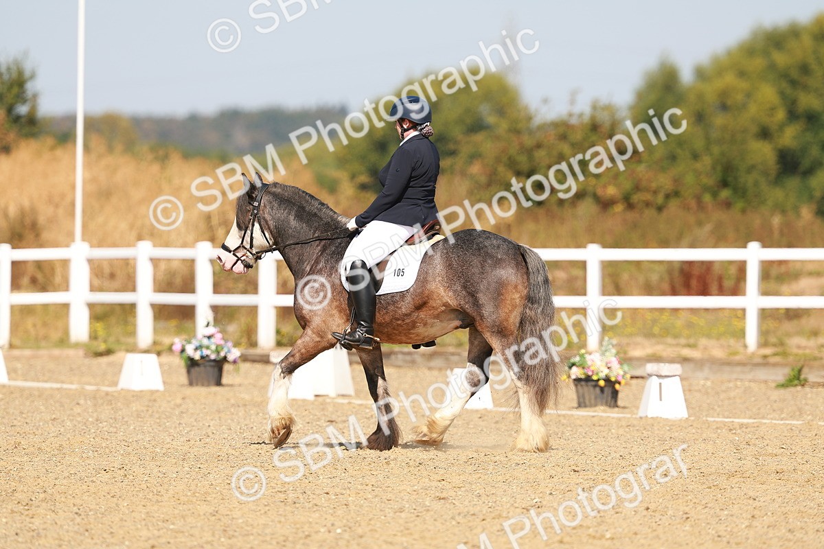 SBM_017771 - Class 9 - N5 Bronze 10.33.11.36