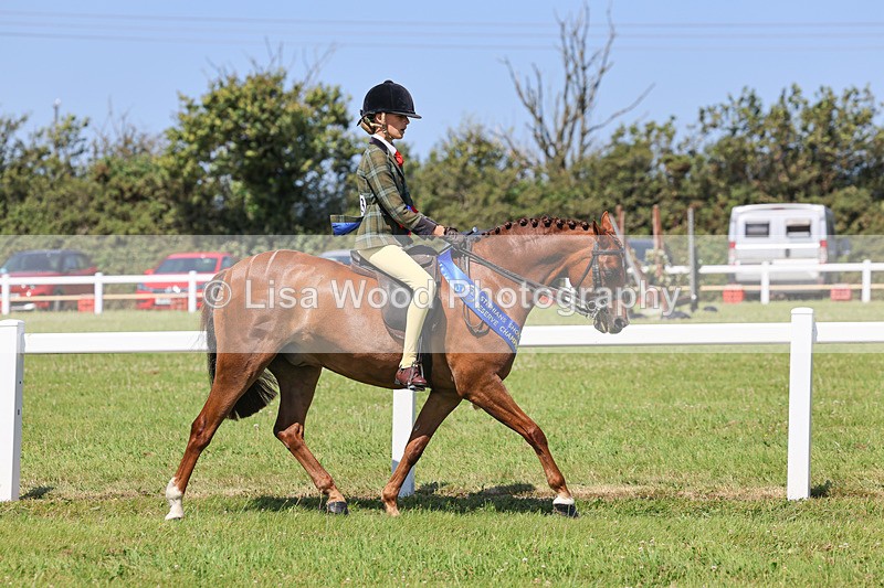 IMG_2163 - Plaited Ridden Championship