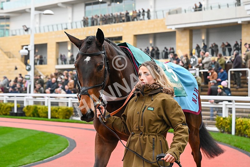 131224-Race 3-Willmount-9472 - Race 3