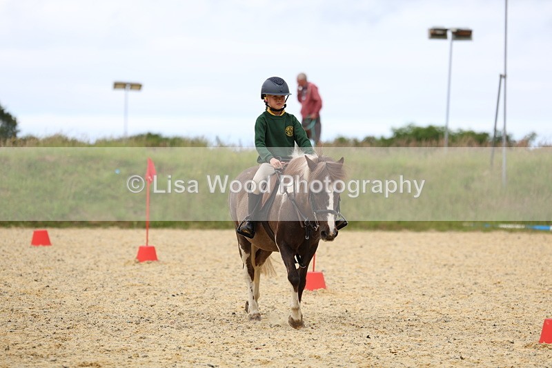 3E7A9571 - Walk trot run