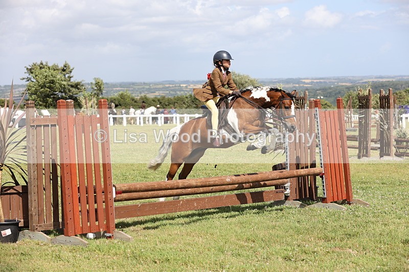 JPP_2149 - Class 19: Working Hunter 60cm