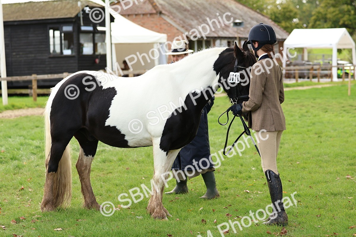 SBM_40758 - S25 -  Veteran In Hand