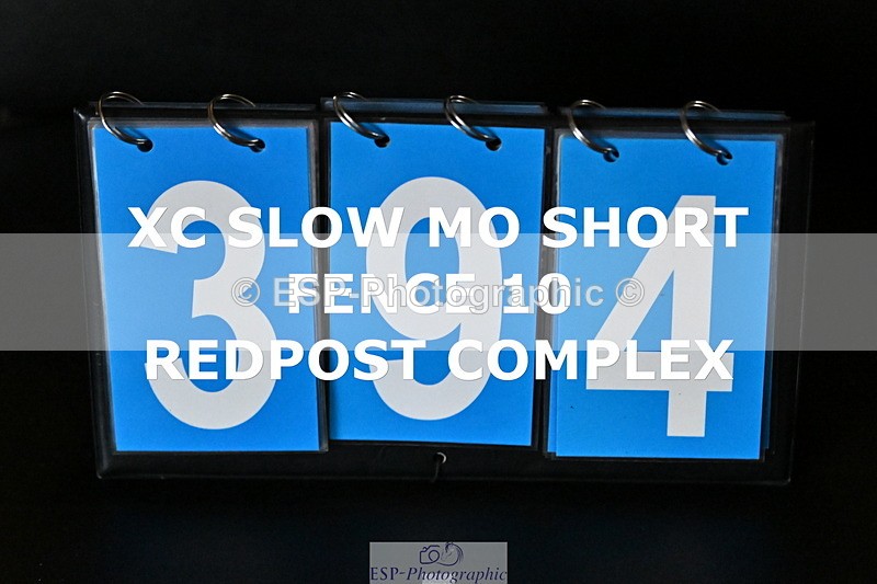 ESP_394 - E-394-Franki.Jarvis