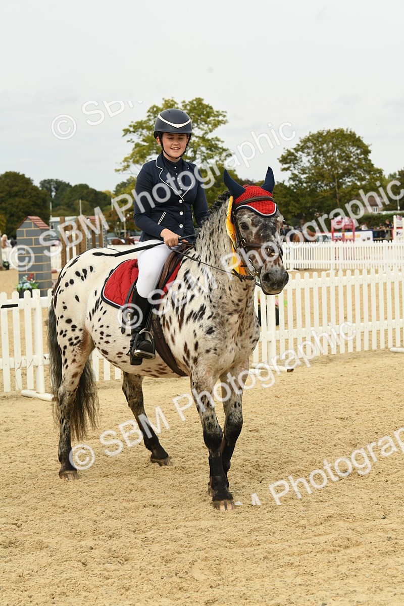 SBM_71176 - J15 - Junior Pony 70cm Championship
