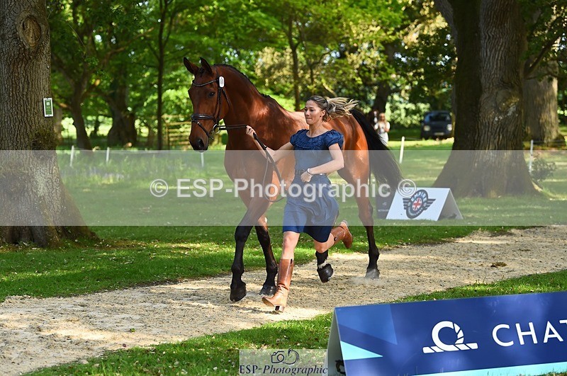 230524-171326-01365 - 161-HEADS_UP-Jemima_Howden-WEDTrotUp+DR