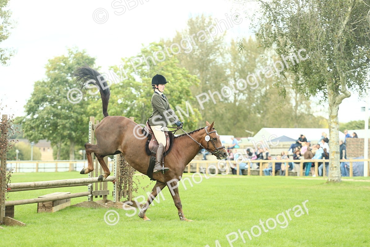 SBM_47955 - S32 - Novice & Newcomers Working Hunter