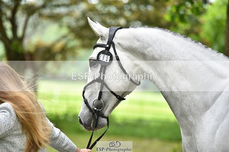 240522-172516-01598 - 286-ZIROCCO_VAN_DE_EIJKHOF_Z-Megan_Sanders