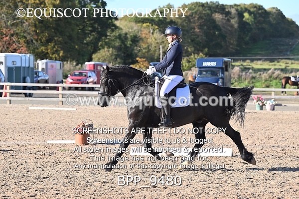 BPP_9480 - LONG ARENA