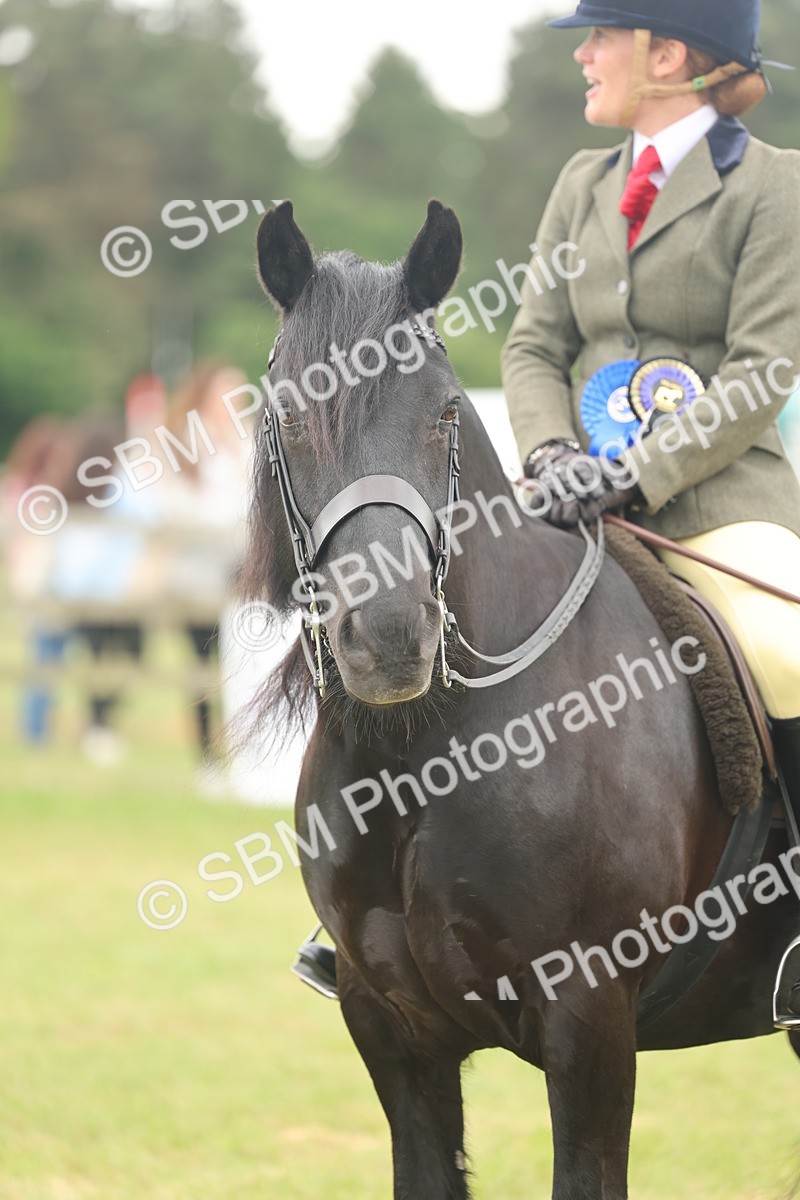 SBM_09047 - Class 78-80 - Ridden M&M Non Welsh Ponies