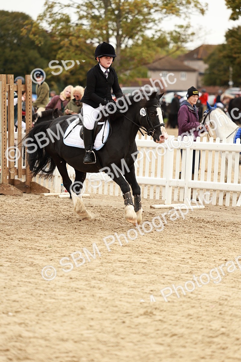 SBM_58028 - J11 - Junior Pony 50cm Championship