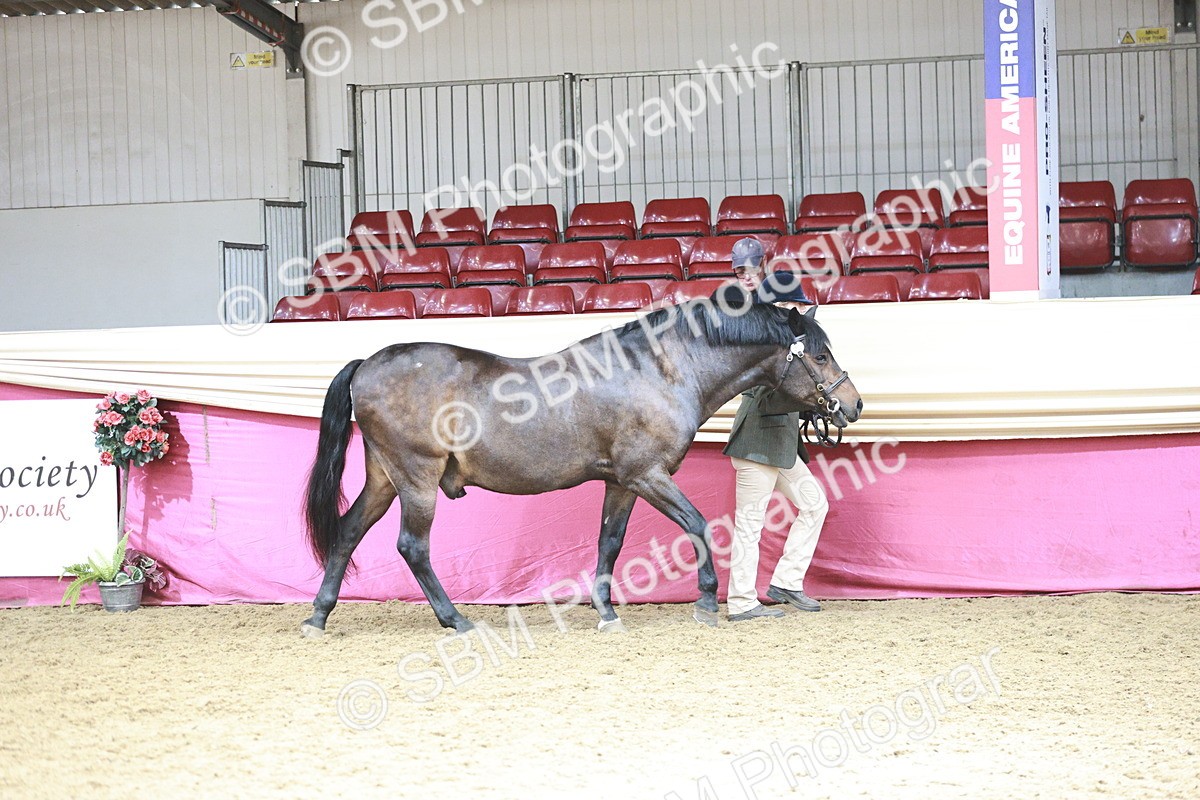 SBM_04705 - Class 7R - Regional IH Diamond