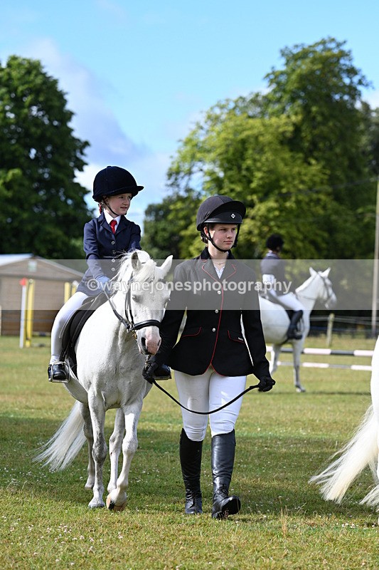 WJ7_4283 - Class 1 Lead Rein Pony