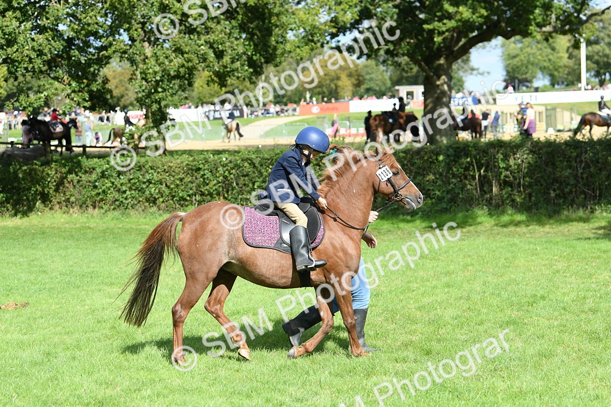SBM_47167 - S12 - Family Horse & Pony