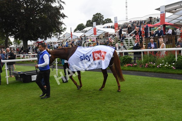 yr21082021r3-35 - Race 3 3.00pm Sky Bet City of York Stakes