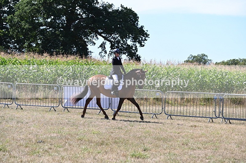WJ6_8878 - Class 38 Ridden Riding Horse/Pony