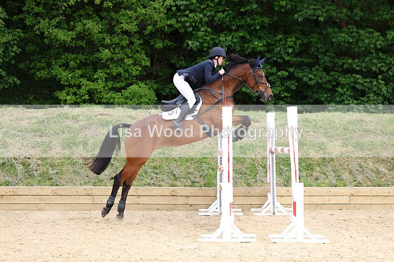 3E7A7632 - Class 8: Senior Foxhunter/1.20 open