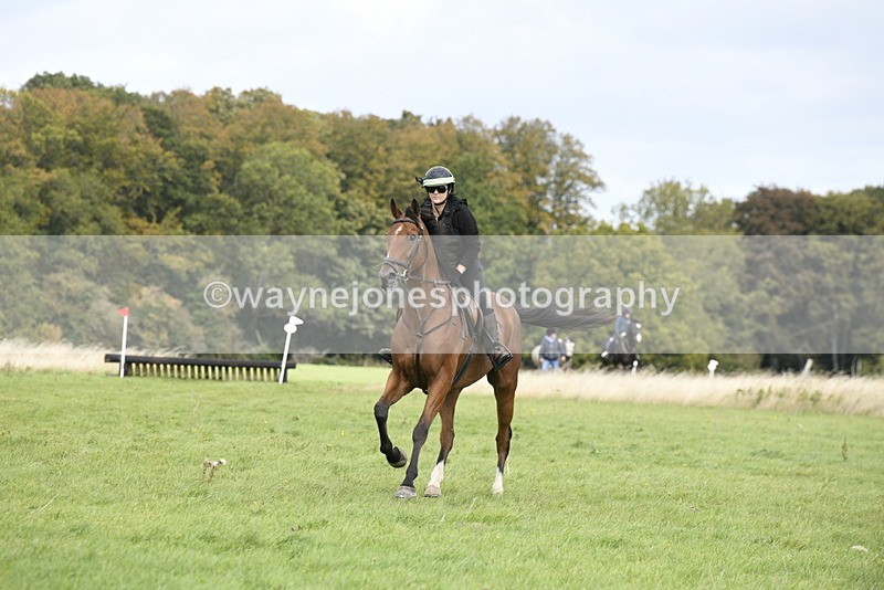 _DSC7825 - Time 12:55 to 13:13