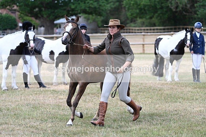 WJ7_1553 - Class 4 Prettiest Mare up to 14.2hh in hand