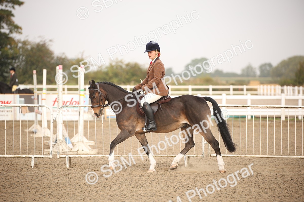SBM_09710 - Class 401 Riding Club Pony