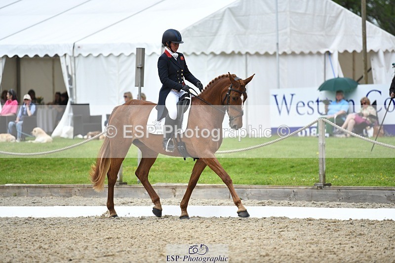 230525-125424-02055 - 112-BILLY_MAPLE-Kitty_King-WEDTrotUp+DR