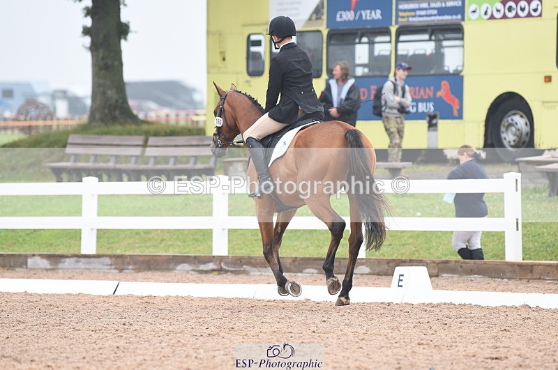 230708A-143208-03068 - Novice 24