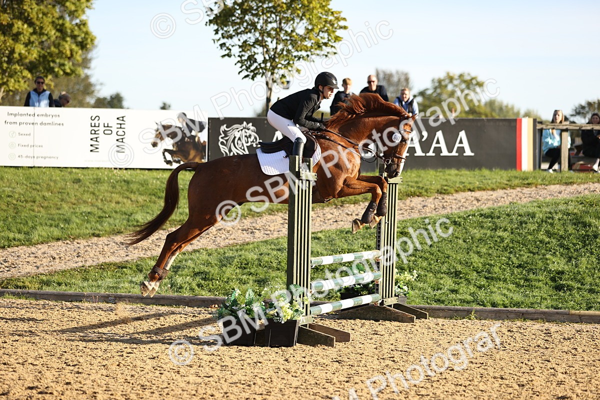 SBM_33163 - J38 - Senior 80cm Championship