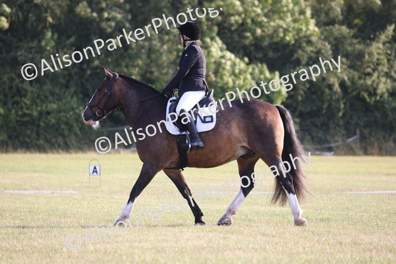 20250731-0765 - Class 1 - Intro 4