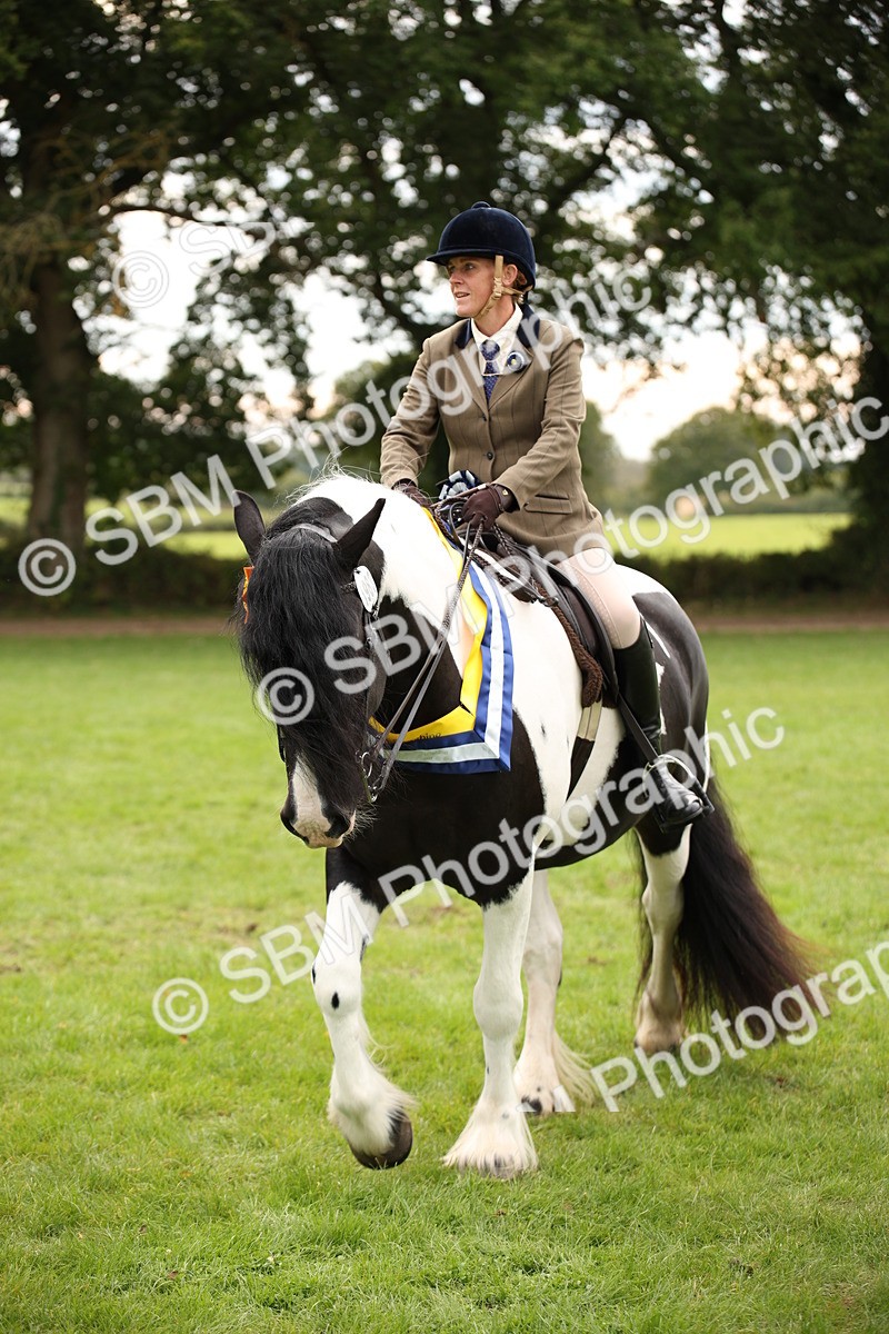 SBM_73658 - Ridden Horse Supreme Championship