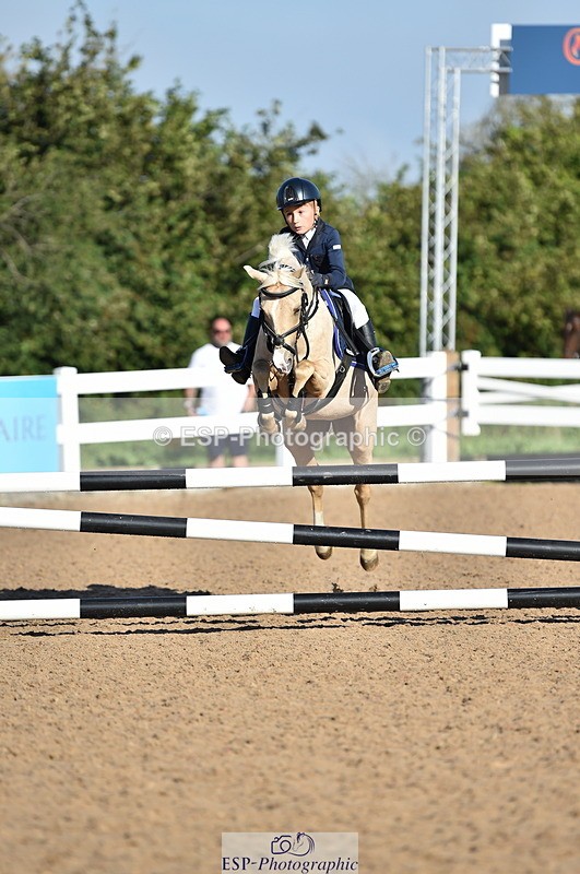 230903A-090814-03444 - Cls 17 Pony Intro 75cm