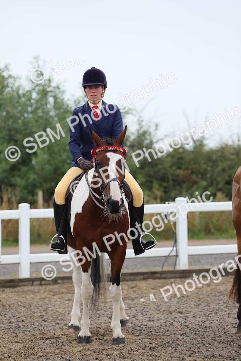 SBM_19954 - Class 801 - Ridden Veteran