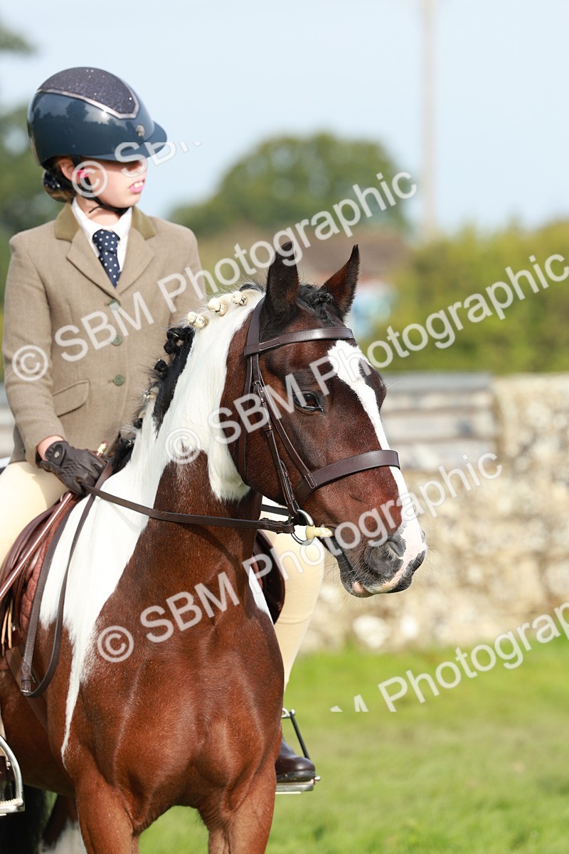 SBM_56433 - S39 - Starters In Hand Showing
