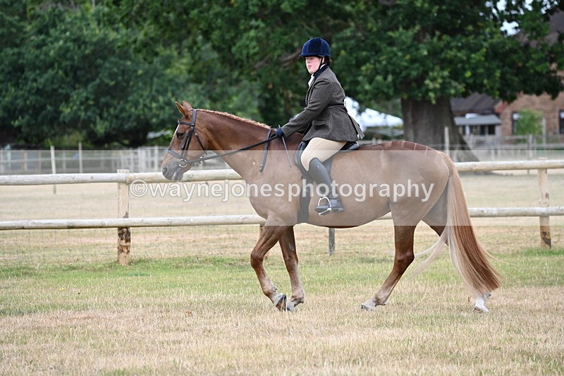 WJ6_3765 - Class 9 Tack & Turnout