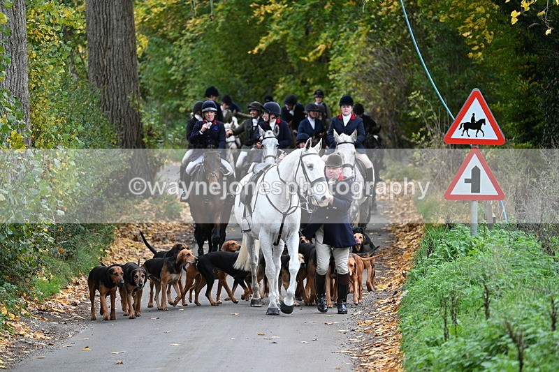 WJ7_7135 - Walk Home..